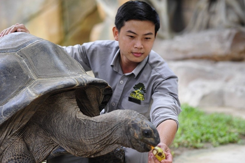 Rùa Khổng Lồ Aldabra